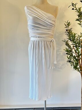 Rare 70s Vintage Climax by David Howard Pleated Grecian Goddess Dress
